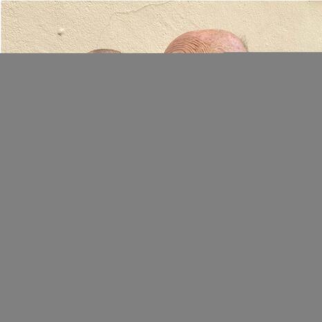 kabarett-geisterfahrer-und-herr-braun_img_558f1993-b069-4c85-b4d2-476f11b697b8