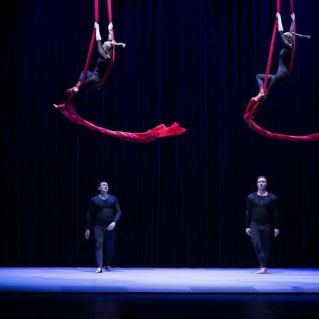 Nacht des Varietés (Ein buntes Feuerwerk bester Unterhaltung)