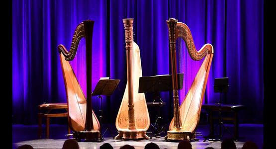 dsc_3956_ergebnis_c_0