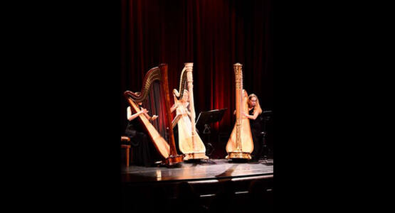 dsc_3962_ergebnis_c_01