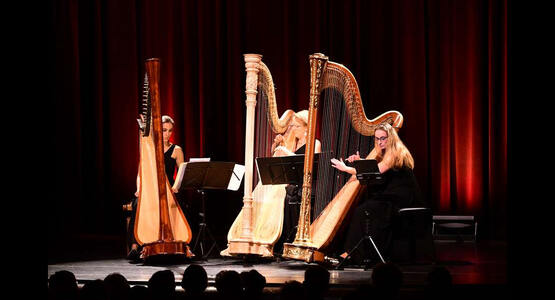 dsc_3965_ergebnis_c_01