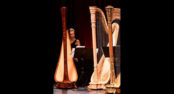 dsc_3967_ergebnis_c_01