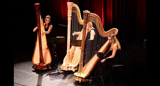 dsc_3975_ergebnis_c_01