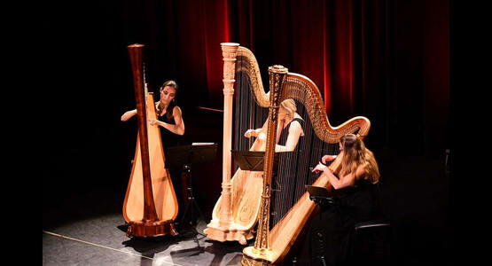 dsc_3976_ergebnis_c_01