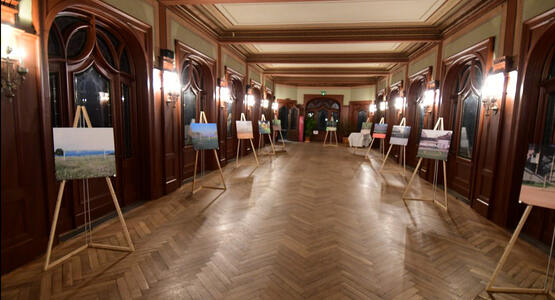 dsc_0481_ergebnis_c_01