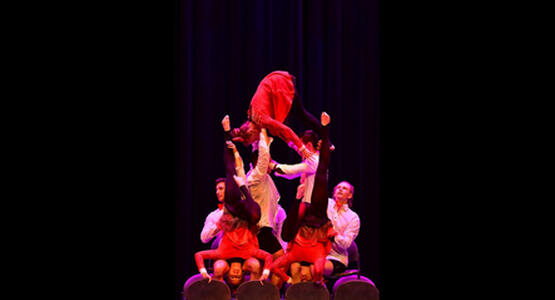 dsc_2400_ergebnis_c_01