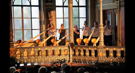 dsc06420_ergebnis_c_01